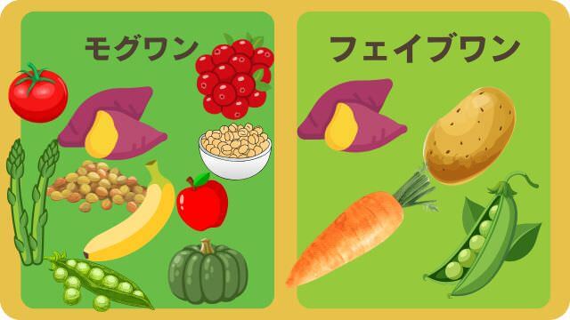 モグワンとフェイブワンドッグフード