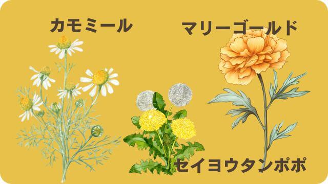 モグワンとフェイブワンドッグフード