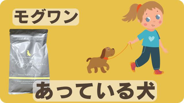 モグワンドッグフードとうまか
