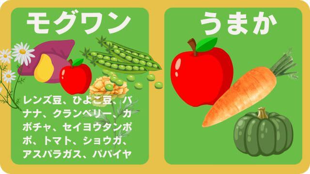 モグワンドッグフードとうまか