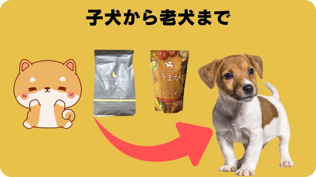 モグワンドッグフードとうまか