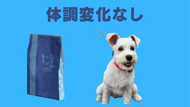 ネルソンズドッグフード