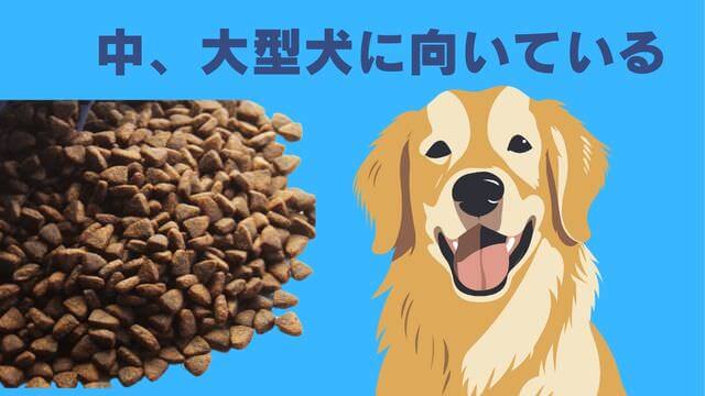 ネルソンズドッグフード