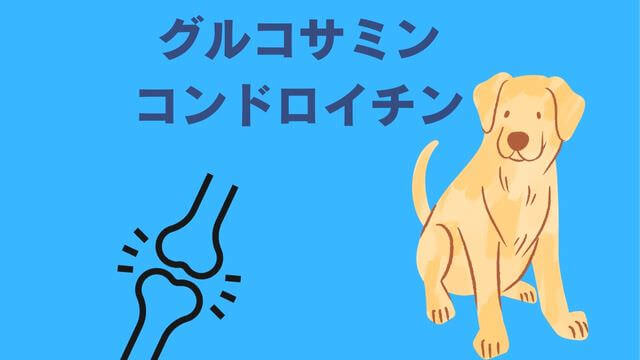 ネルソンズドッグフード