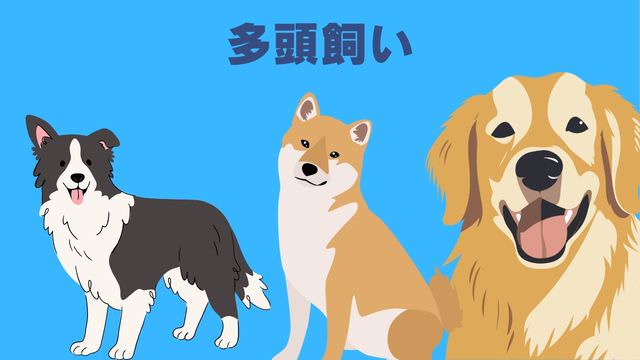 ネルソンズドッグフード