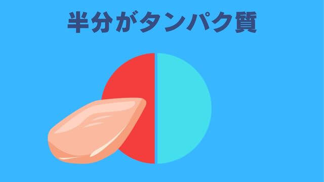 ネルソンズドッグフード