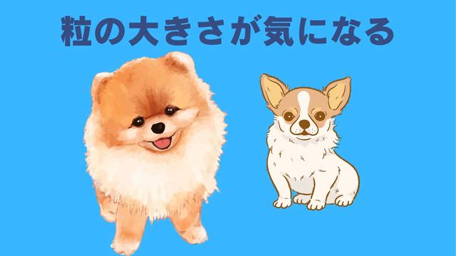 ネルソンズドッグフード