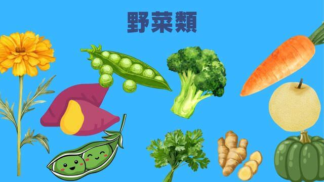 ネルソンズドッグフード