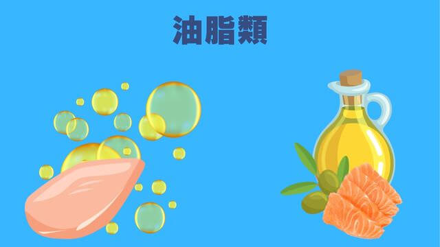 ネルソンズドッグフード