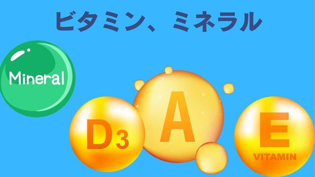 ネルソンズドッグフード