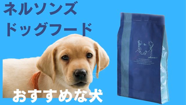 ネルソンズドッグフード