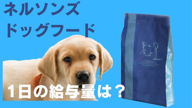 ネルソンズドッグフード