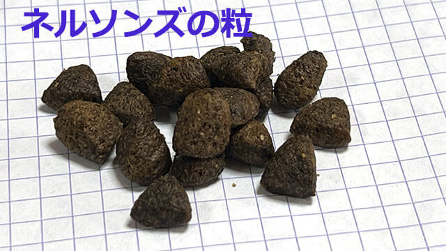 ネルソンズドッグフード