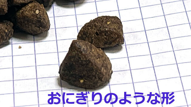 ネルソンズドッグフード