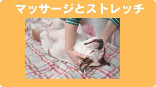 老犬が後ろ足に力が入らない