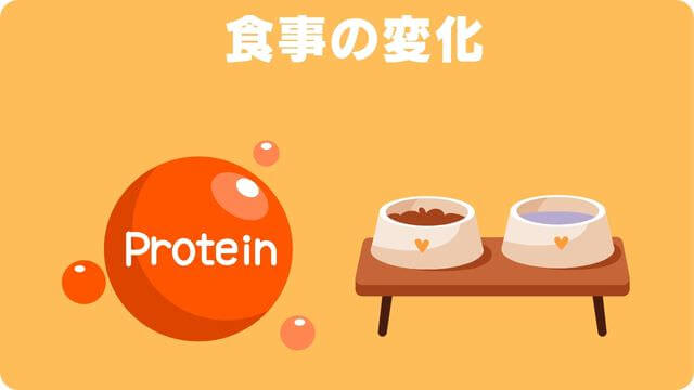 老犬が後ろ足に力が入らない