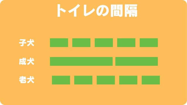 老犬が後ろ足に力が入らない