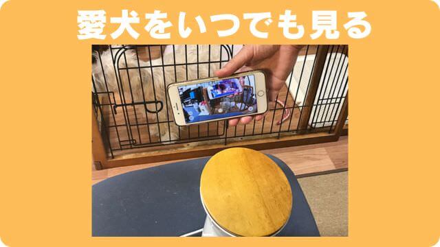 老犬が後ろ足に力が入らない