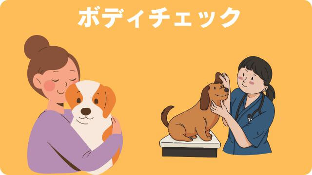 老犬が後ろ足に力が入らない