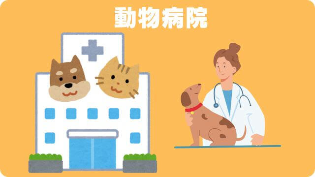 老犬が後ろ足に力が入らない