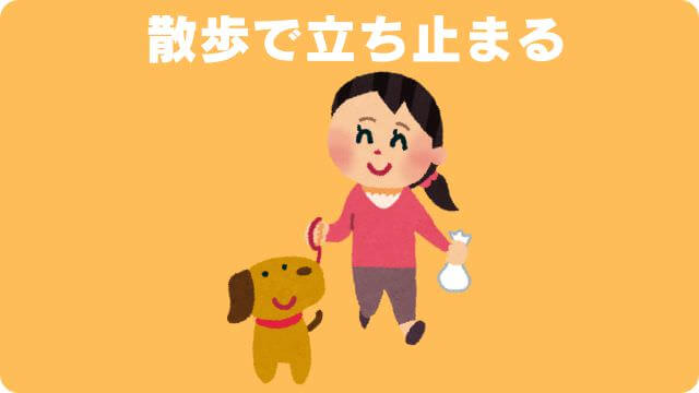 老犬が後ろ足に力が入らない