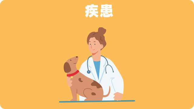老犬が後ろ足に力が入らない