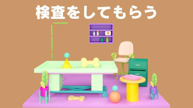 老犬の食欲不振
