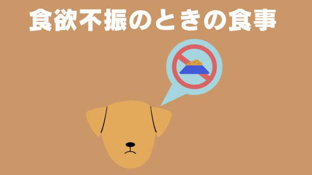 老犬の食欲不振