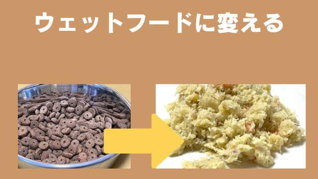老犬の食欲不振
