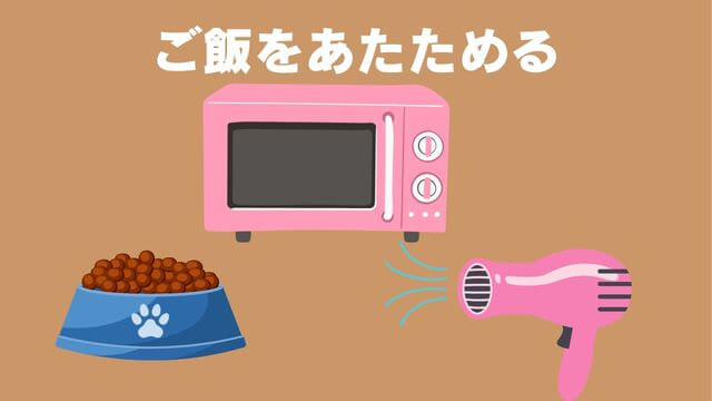 老犬食欲不振