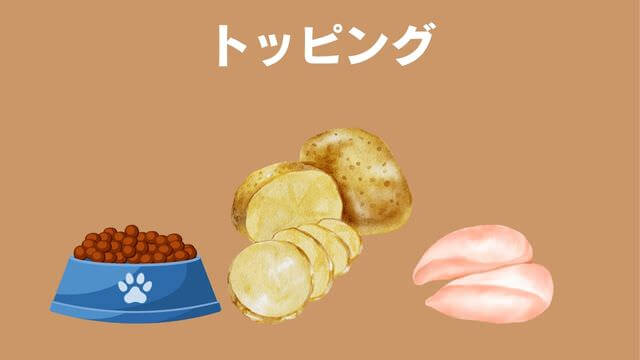 老犬が食欲不振