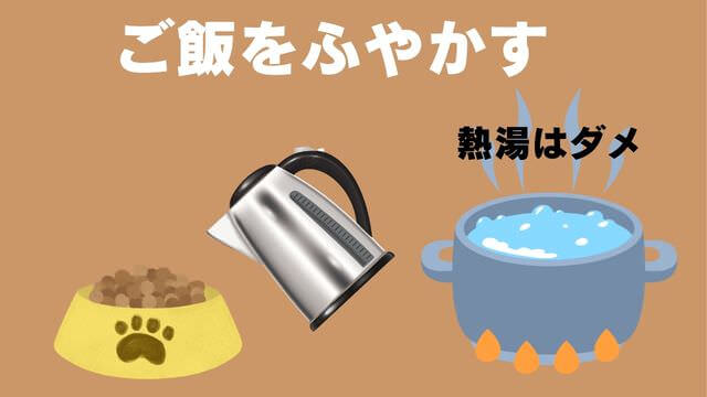 老犬が食欲不振