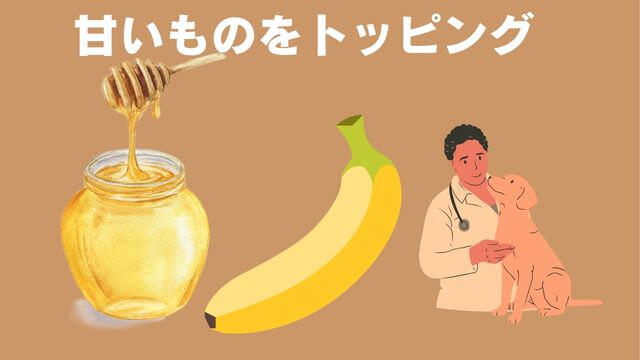 老犬が食欲不振