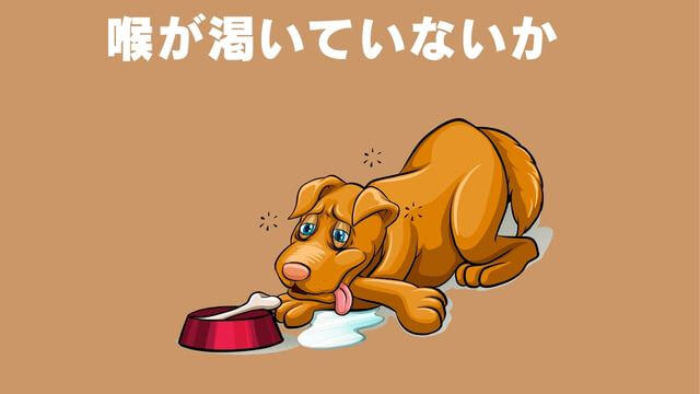 老犬が食欲不振
