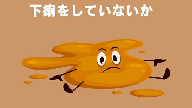 老犬が食欲不振