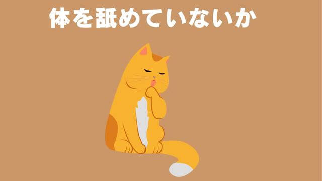 老犬が食欲不振