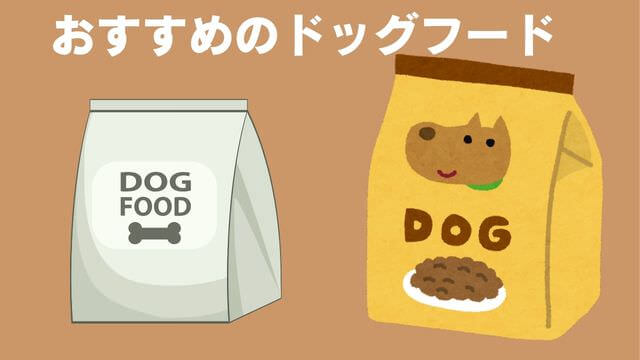 老犬が食欲不振