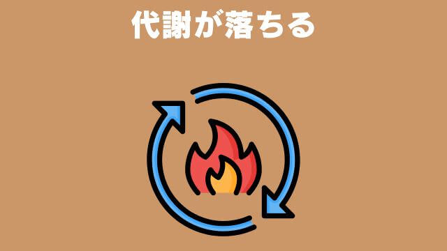 老犬が食欲不振