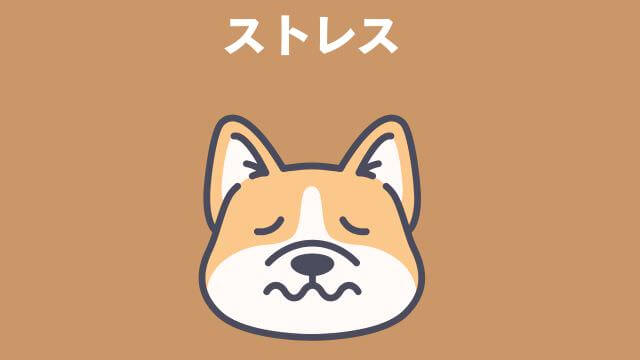 老犬が食欲不振