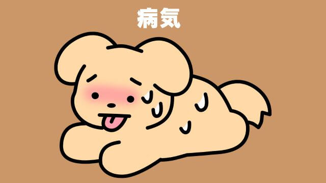 老犬が食欲不振
