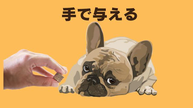 老犬ご飯食べないおやつは食べる