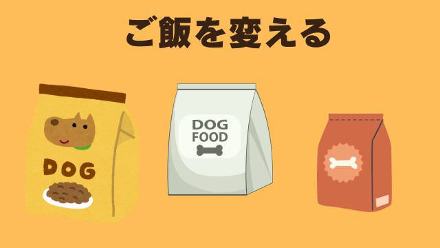 老犬ご飯食べないおやつは食べる