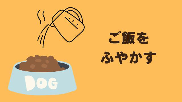 老犬ご飯食べないおやつは食べる