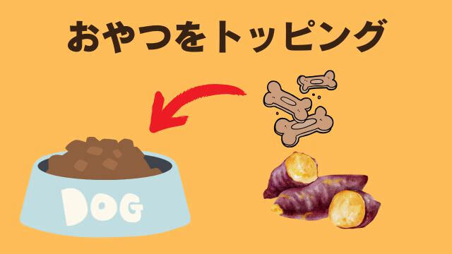 老犬ご飯食べないおやつは食べる