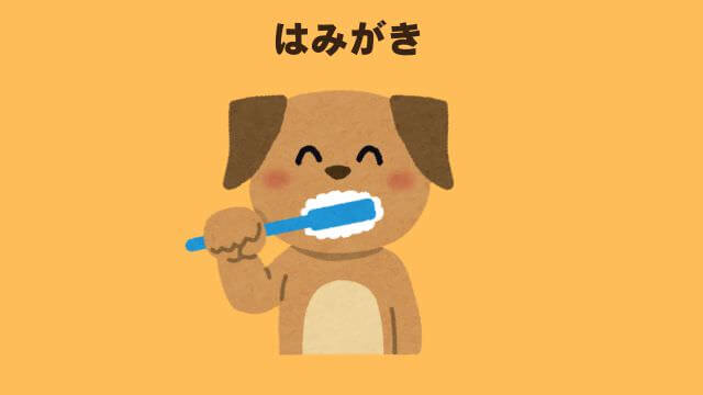 老犬ご飯食べないおやつは食べる