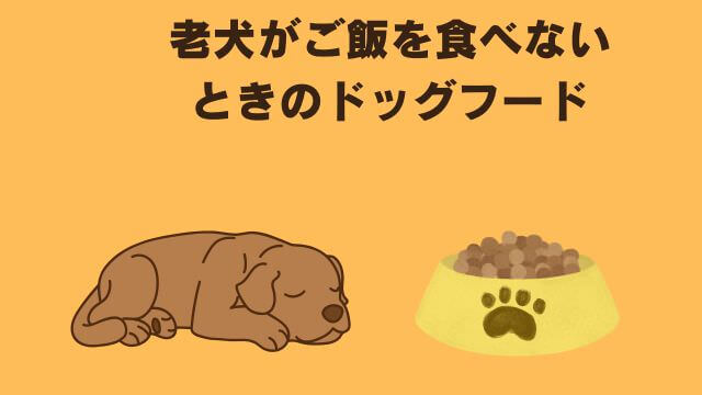 老犬ご飯食べないおやつは食べる