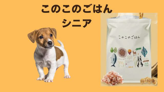 老犬ご飯食べないおやつは食べる