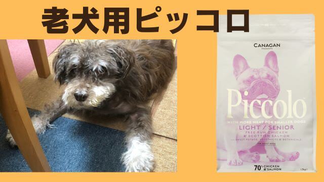 老犬ご飯食べないおやつは食べる