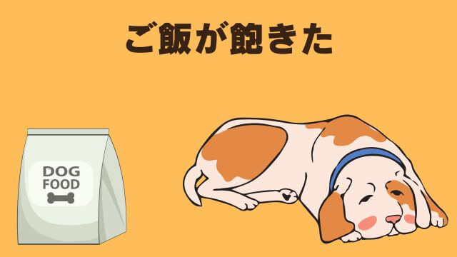 老犬ご飯食べないおやつは食べる