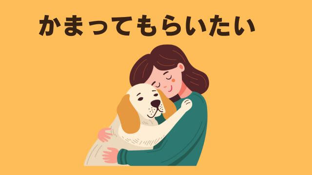 老犬ご飯食べないおやつは食べる